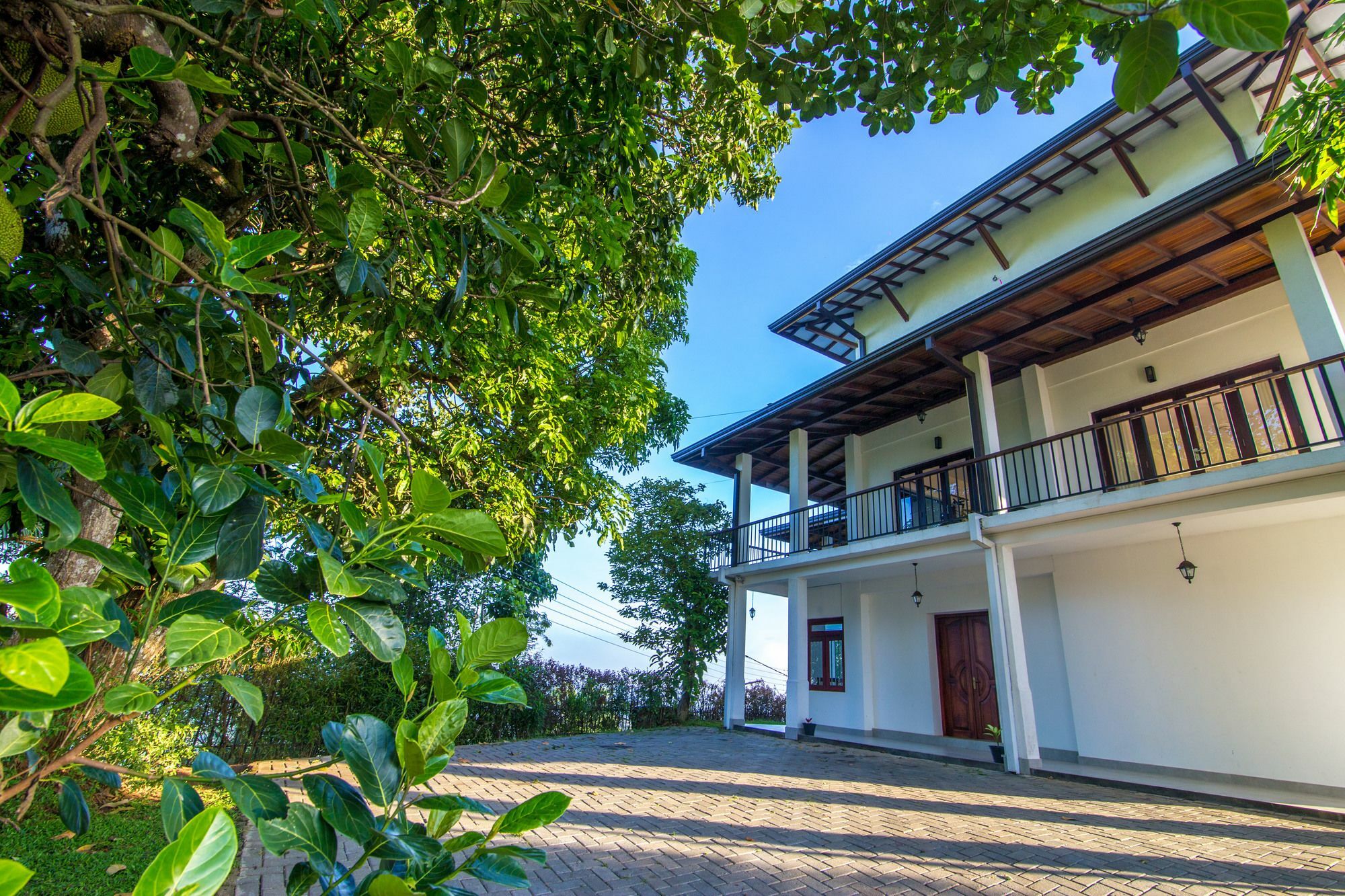 Jack Tree Lodge Канди Екстериор снимка