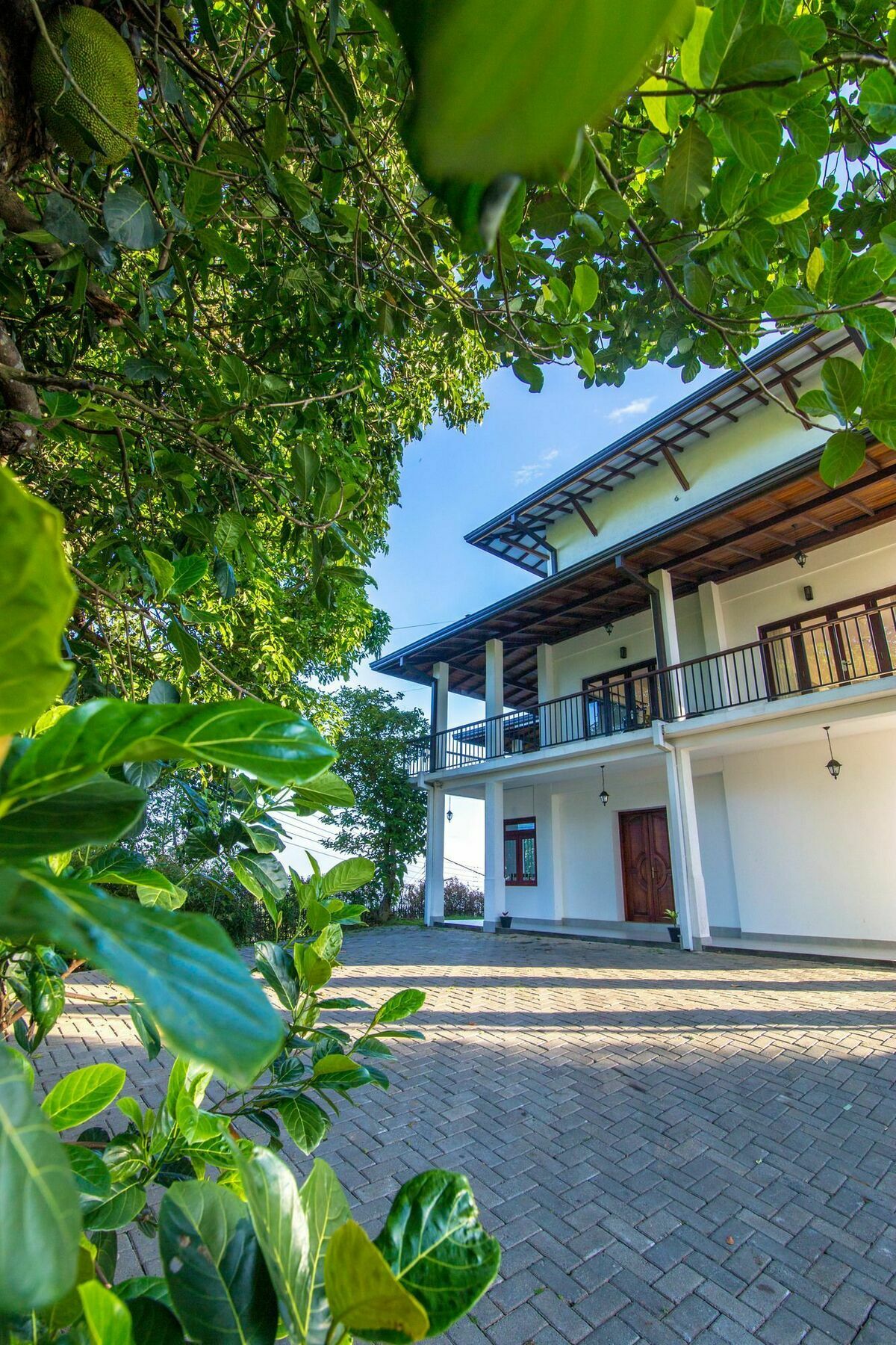 Jack Tree Lodge Канди Екстериор снимка